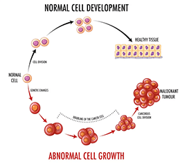 Two Drugs Targeting DNA Damage Response Show Promise in Ongoing Cancer Trials - Apr, 2022